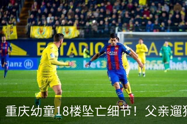 重庆幼童18楼坠亡细节！父亲遛狗把他独自留家，母亲控诉还有隐情